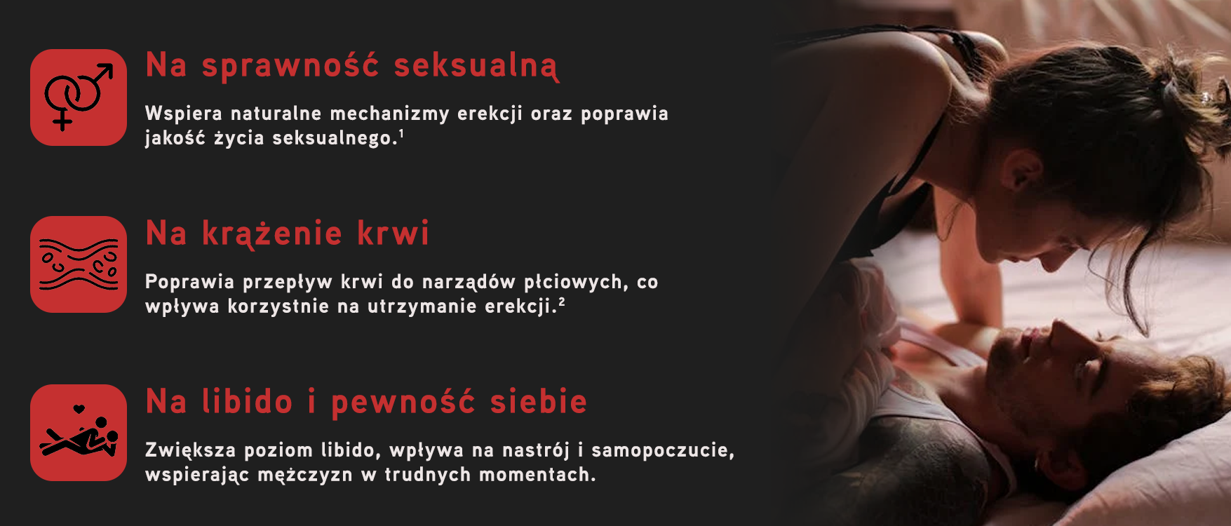 Bullrun - jak działa